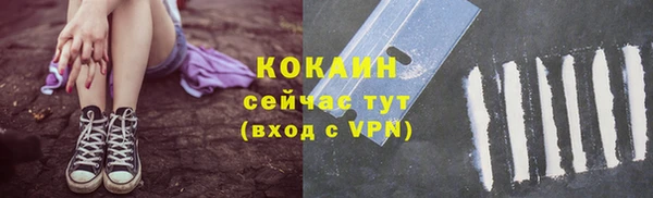 гидропоника Богданович