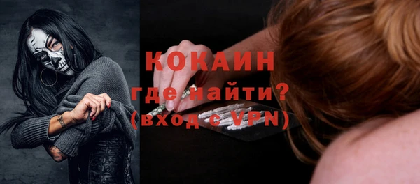 дживик Богородицк