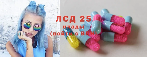 дживик Богородицк