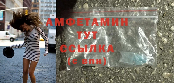 дживик Богородицк