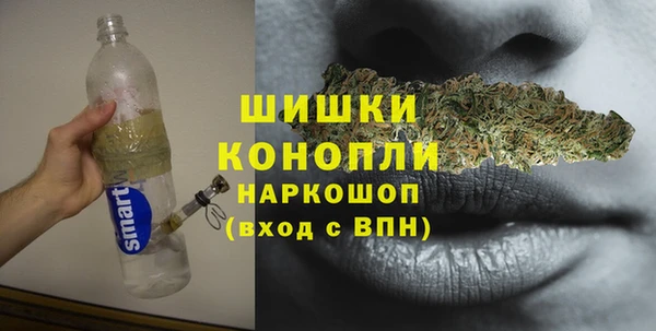 гидропоника Богданович